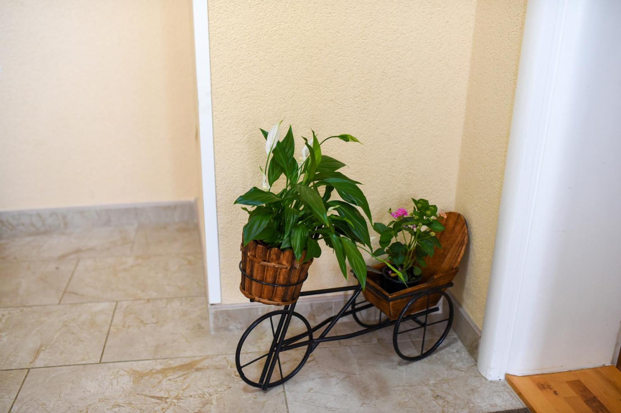 Dalila Apartman Mostar Ngoại thất bức ảnh